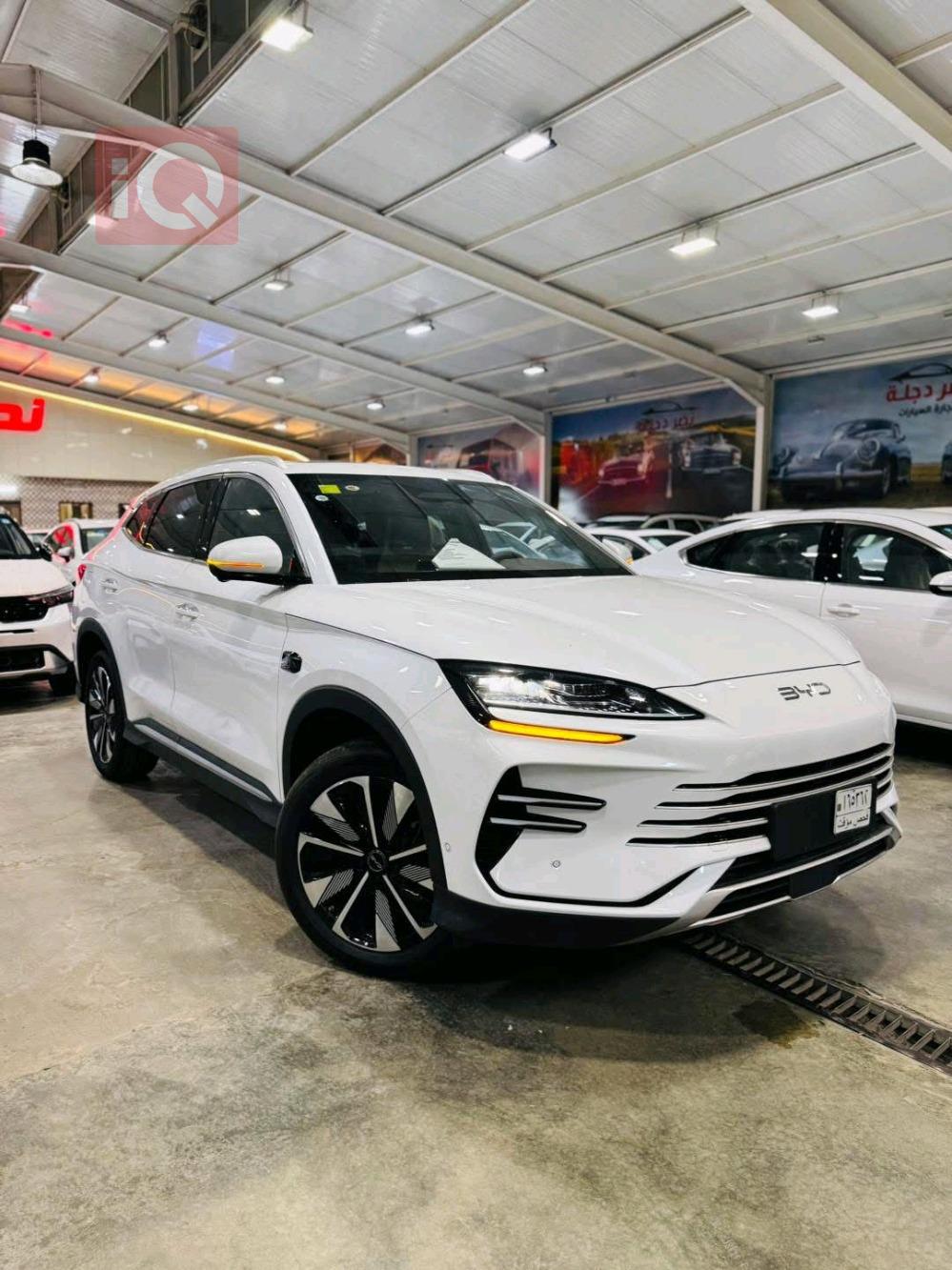 بي واي دي سونغ بلس